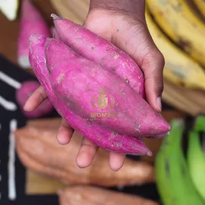 Farine de Patate Douce 500 gr